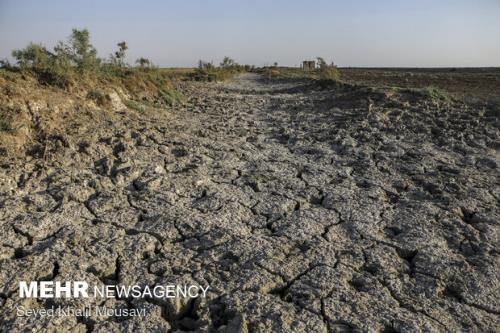 انتقال آب بطور قطع جلگه خوزستان را نابود می كند
