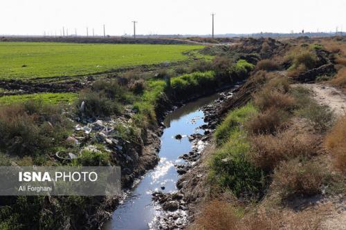 ورود کمیسیون اصل نود به پرونده کشت محصولات کشاورزی با آب های آلوده
