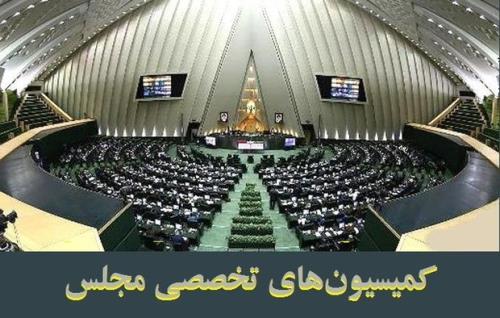 اسلامی به مجلس می رود
