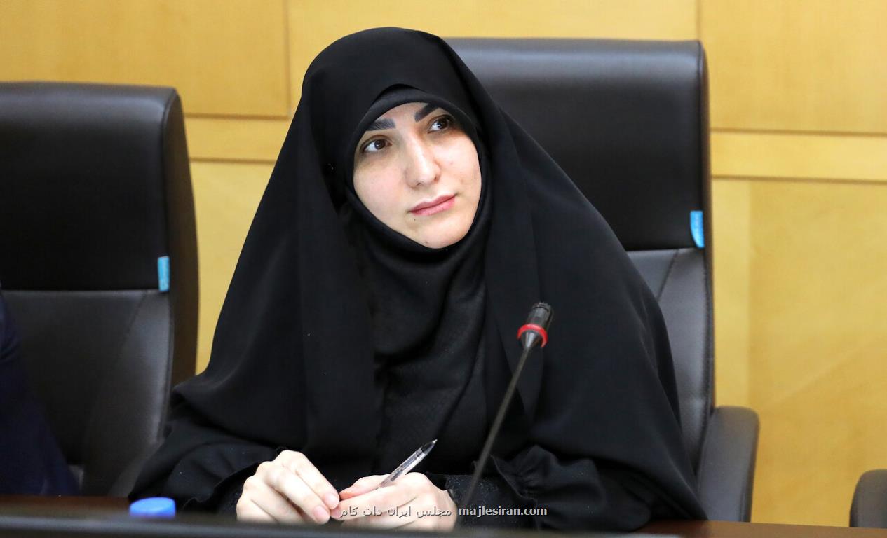 عده ای در داخل کشور گل به خودی نزنند