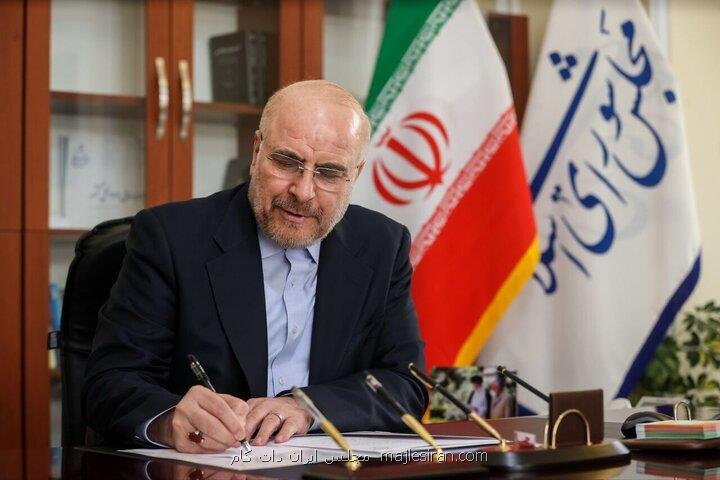 رشیدی نماینده تام الاختیار رییس مجلس در شورای عالی نوجوان و جوانان شد