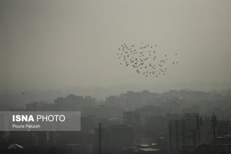 ضعف و ناهماهنگی در مدیریت از عوامل اصلی اجرا نشدن قانون هوای پاك است