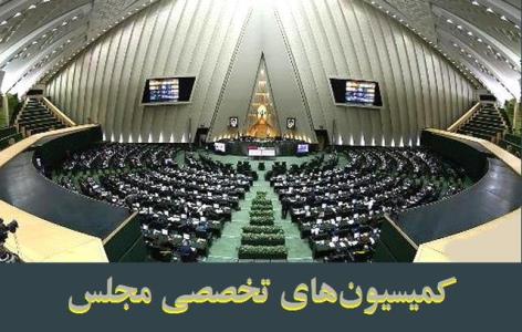سقوط هواپیمای اوكراینی و سوال از وزرا در دستور كار كمیسیون های تخصصی مجلس