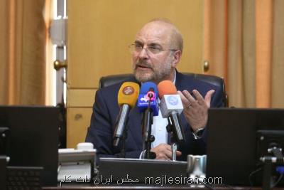 رئیس مجلس شورای اسلامی وارد زاهدان شد
