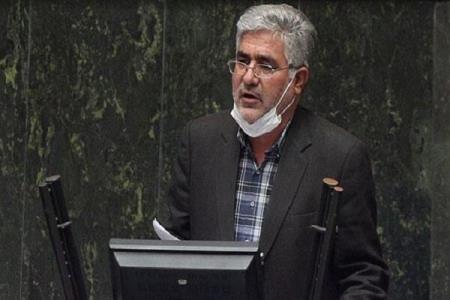 گرانی مرغ و تخم مرغ نشان دهنده بی تدبیری دولت می باشد
