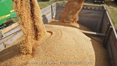 پیشنهادات 8گانه برای حل نابسامانی بازار نهاده های دامی
