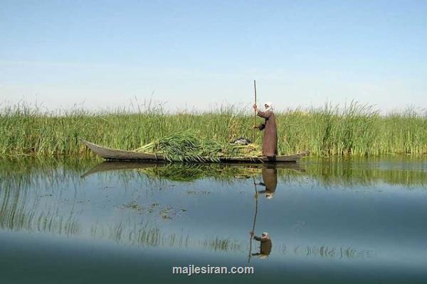 مالكی: ستاد ملی احیای دریاچه هامون تشكیل می شود